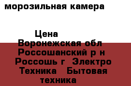 морозильная камера Nord › Цена ­ 5 000 - Воронежская обл., Россошанский р-н, Россошь г. Электро-Техника » Бытовая техника   